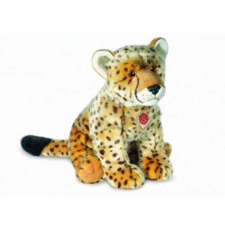 Gepard