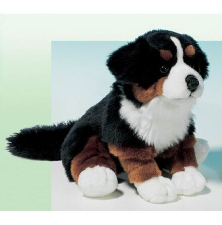 Hund: Berner Sennen