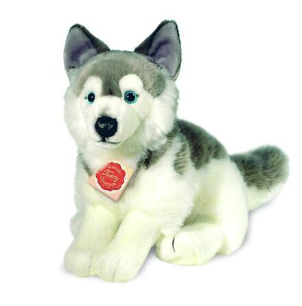 Hund: Husky