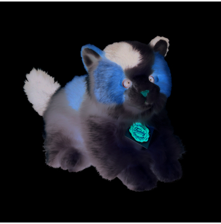 Katt