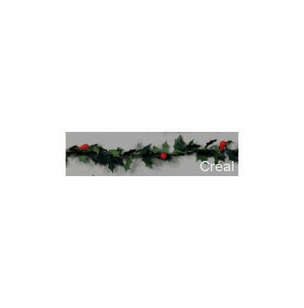 Ilex