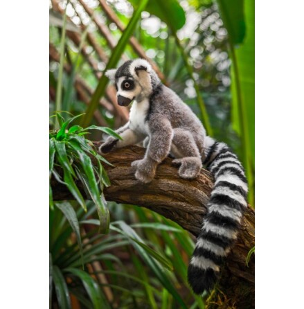 Lemur