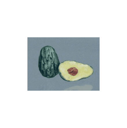 Avacadohalvor
