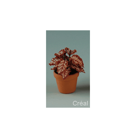 Krukv�xt