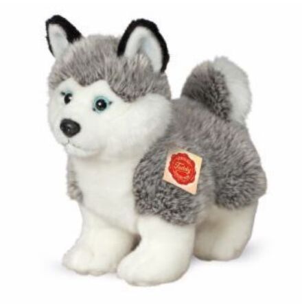 Hund Husky