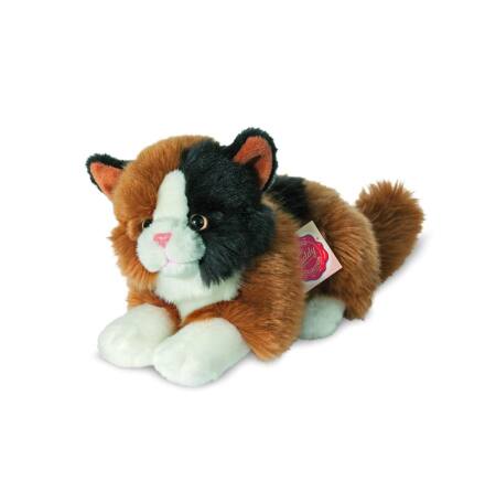 Katt