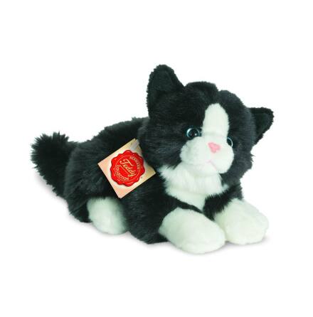 Katt, svart/vit