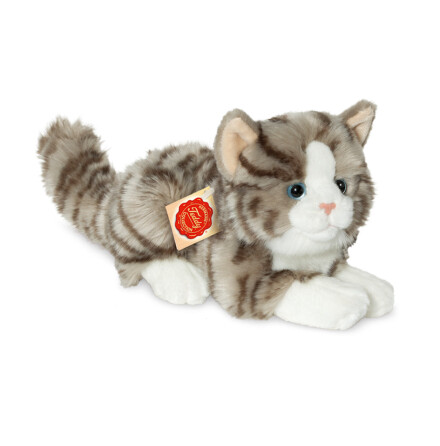 Katt, gr�randig
