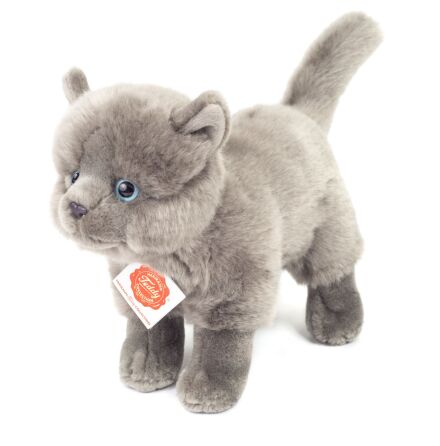 Gr� katt