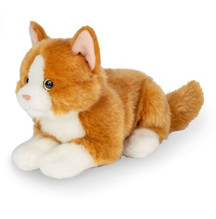 Liggande r�d/vit katt
