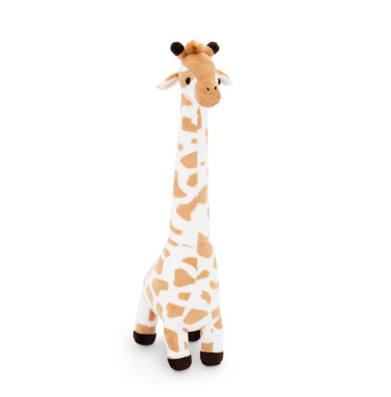 Giraff